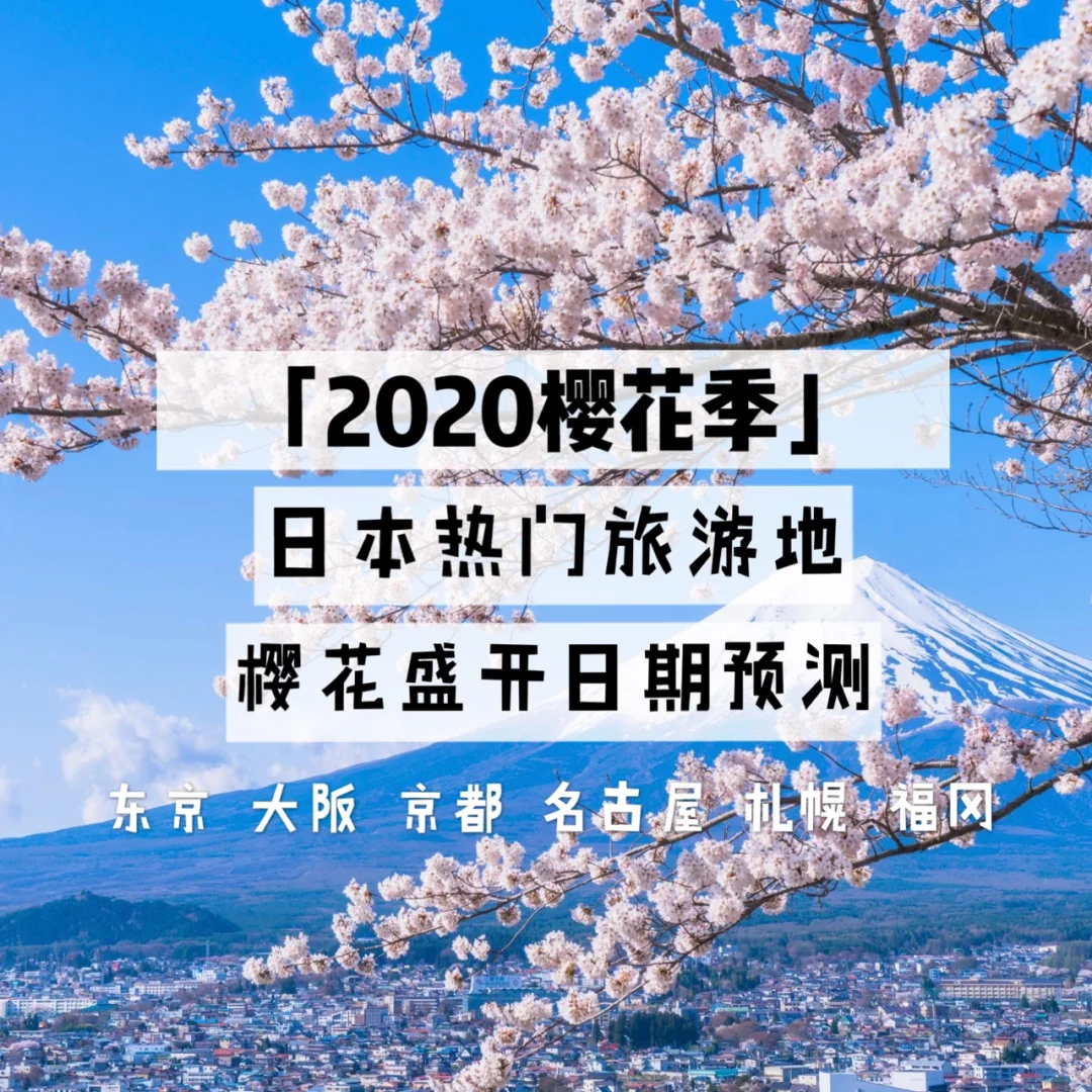 大阪樱花亚洲足球风头无两，胜势如潮的简单介绍